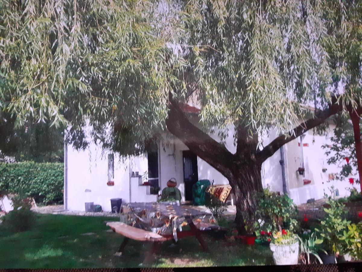 Peti Kaz Hotel Saint-Seurin-sur-l'Isle Kültér fotó
